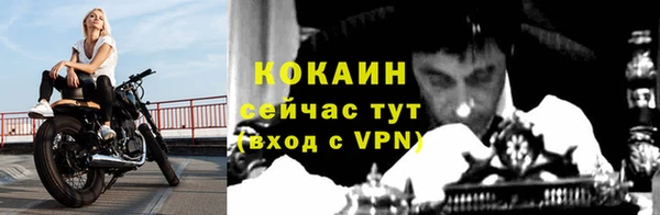 ECSTASY Кинешма