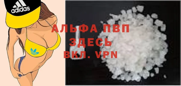 ECSTASY Кинешма